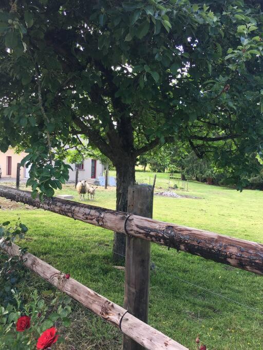 Gite De La Poupardiere, Maison De Campagne En Bordure De Riviere - 2 Nuits Minimum Villa Les Cresnays Esterno foto